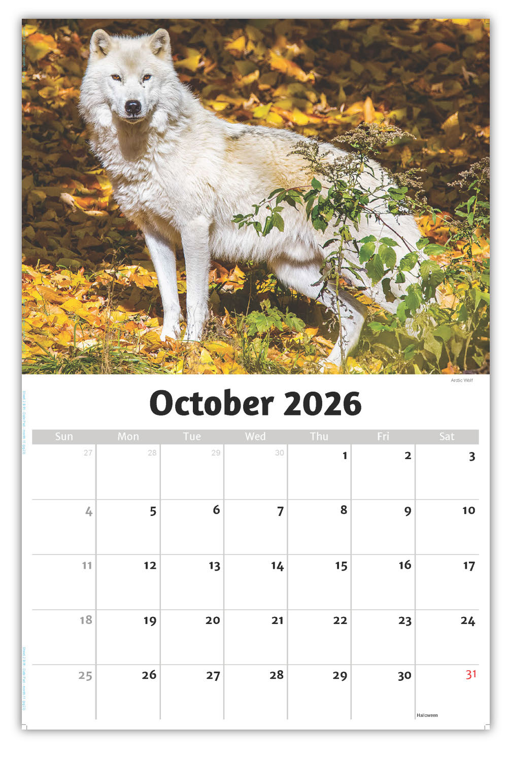 2026 Wall Calendar - North American Wildlife