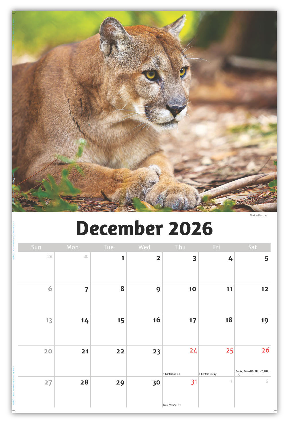 2026 Wall Calendar - North American Wildlife