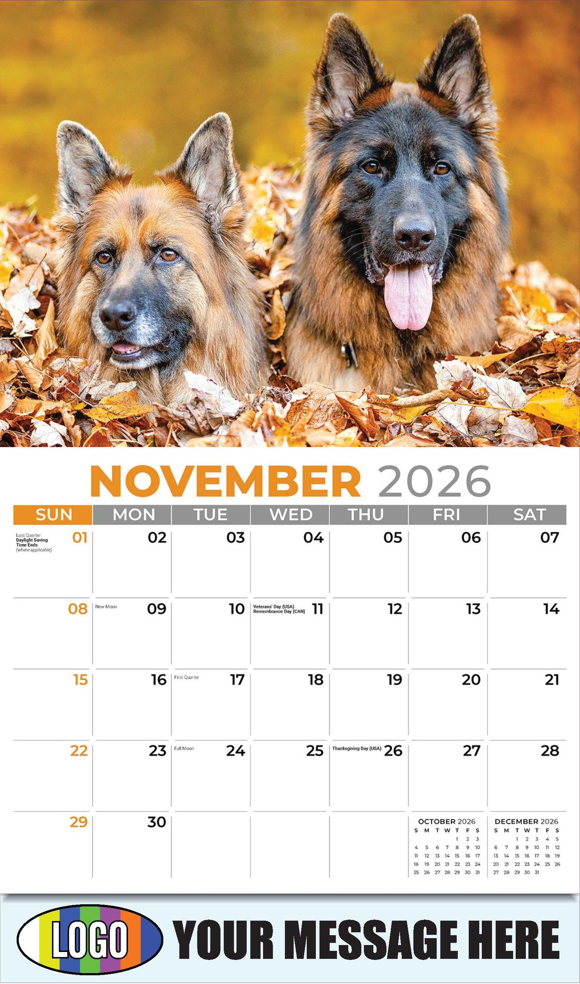 2026 Pets Business Promotional Calendar