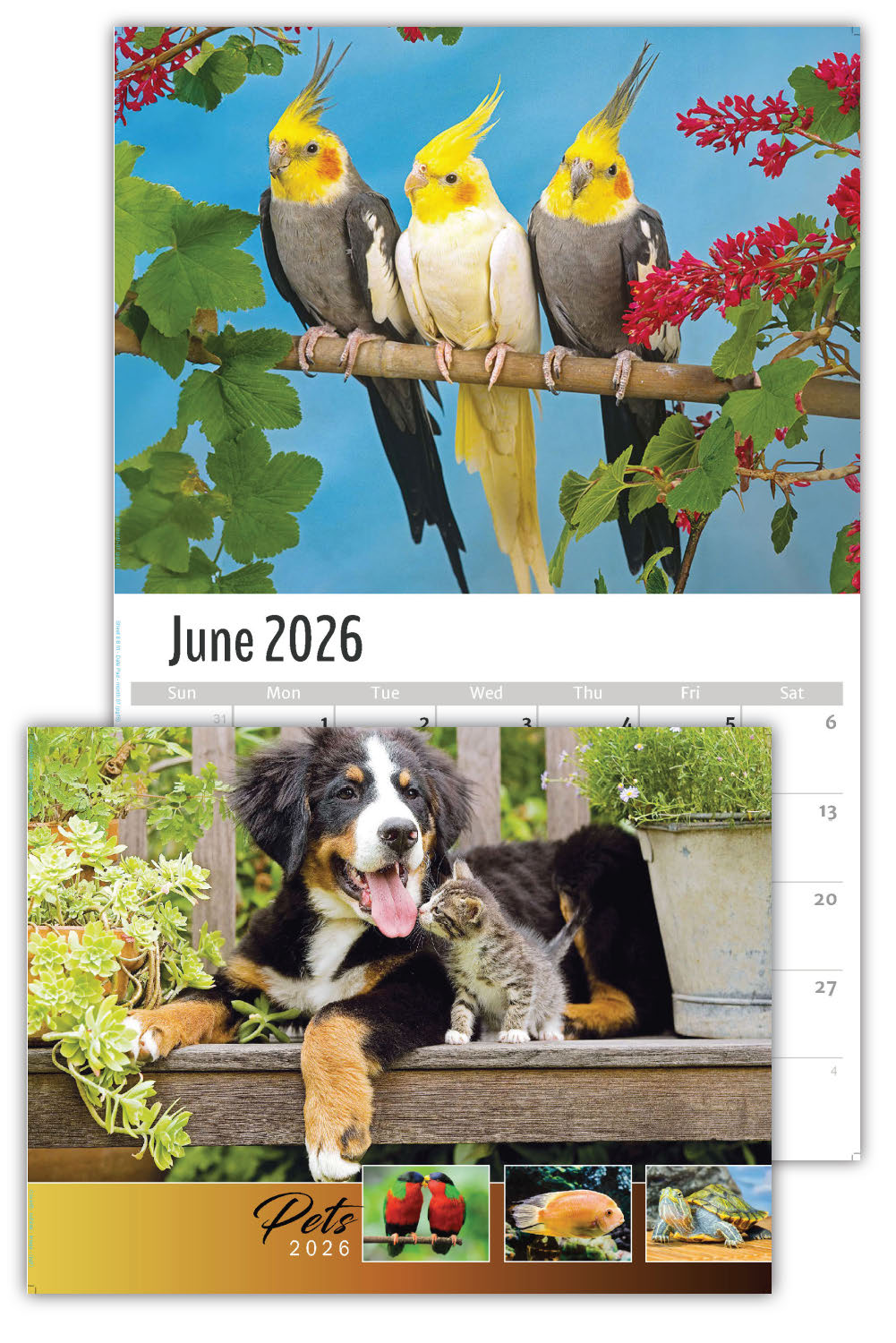 2026 Pets Wall Calendar