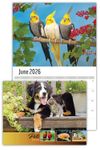 2026 Pets Wall Calendar