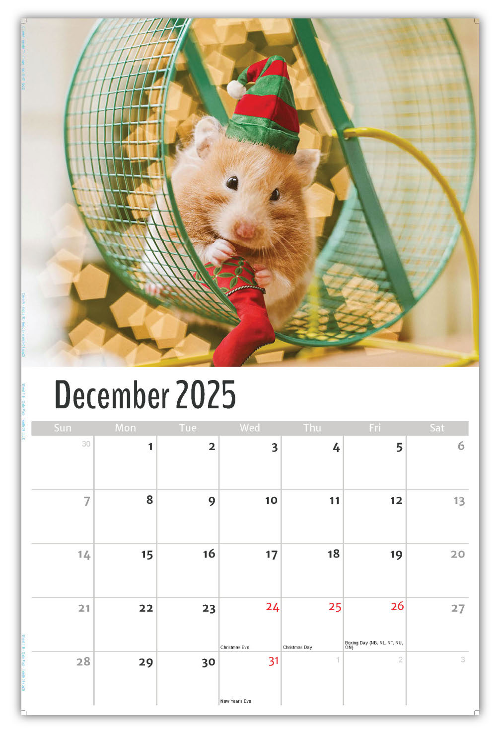 2026 Pets Wall Calendar
