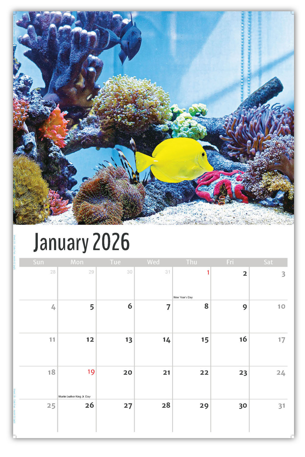 2026 Pets Wall Calendar