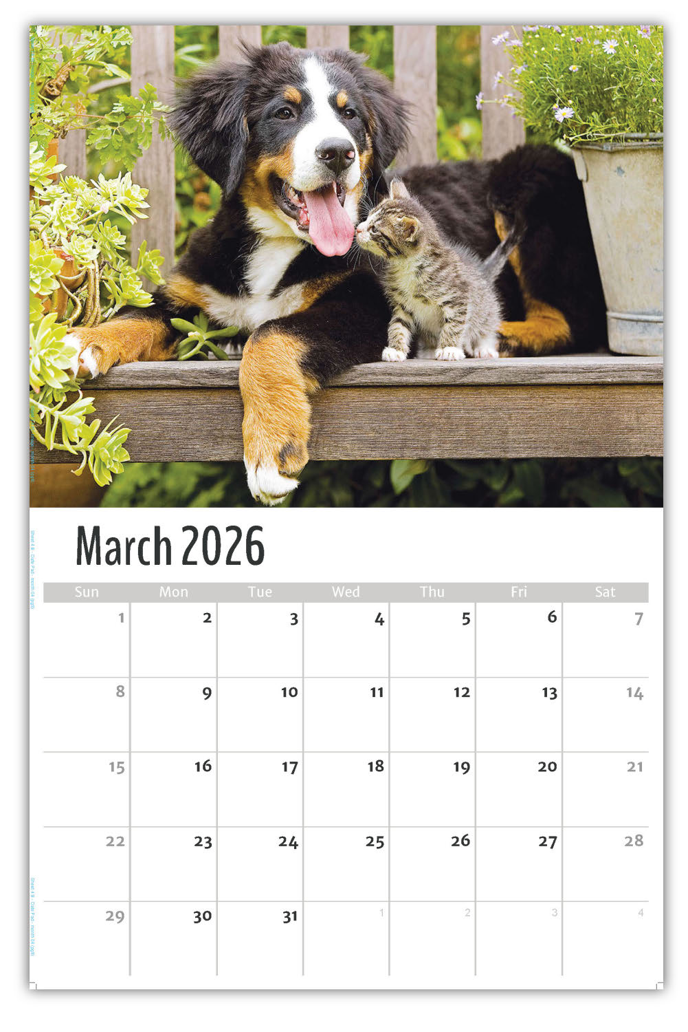 2026 Pets Wall Calendar