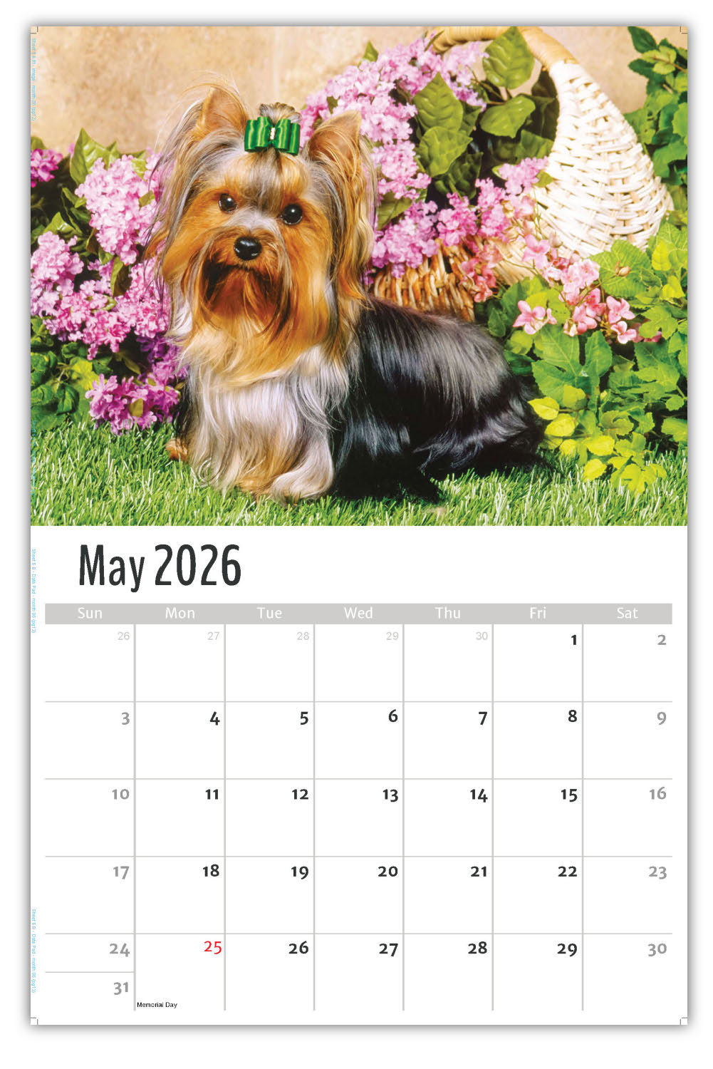 2026 Wall Calendar Household Pets 2026 Pets Wall Calendar Retail Page 08 