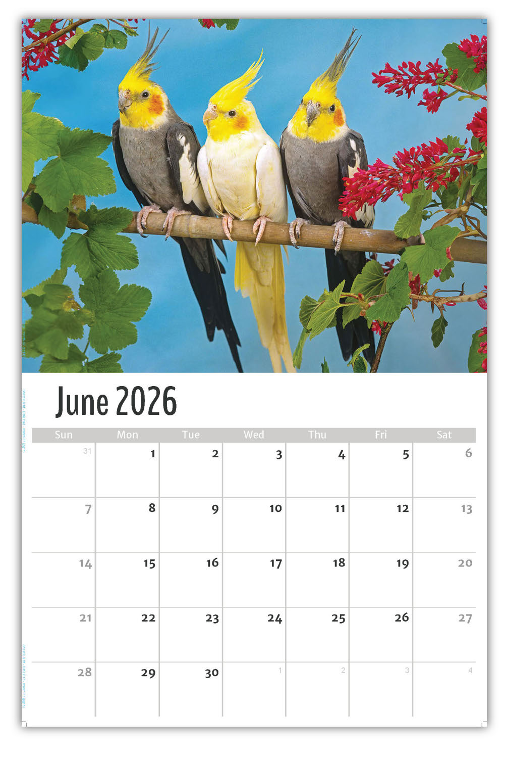 2026 Pets Wall Calendar