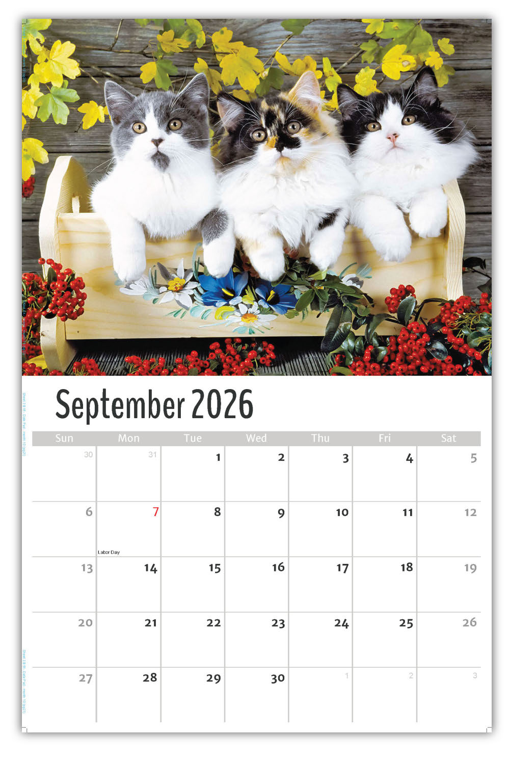2026 Pets Wall Calendar