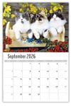 2026 Pets Wall Calendar
