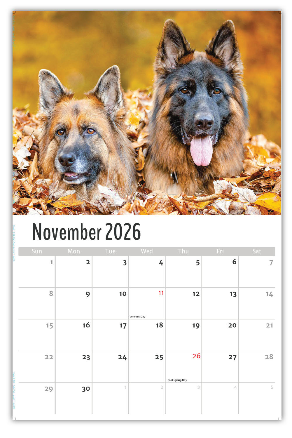 2026 Wall Calendar Household Pets 2026 Pets Wall Calendar Retail Page 14 