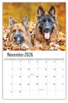2026 Pets Wall Calendar