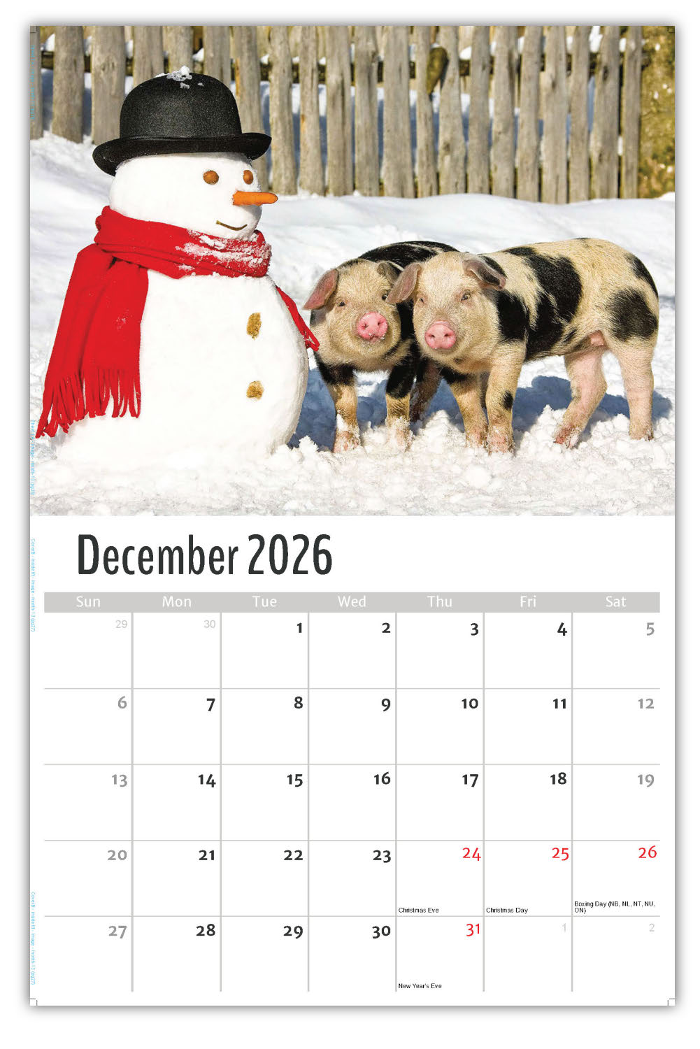 2026 Pets Wall Calendar