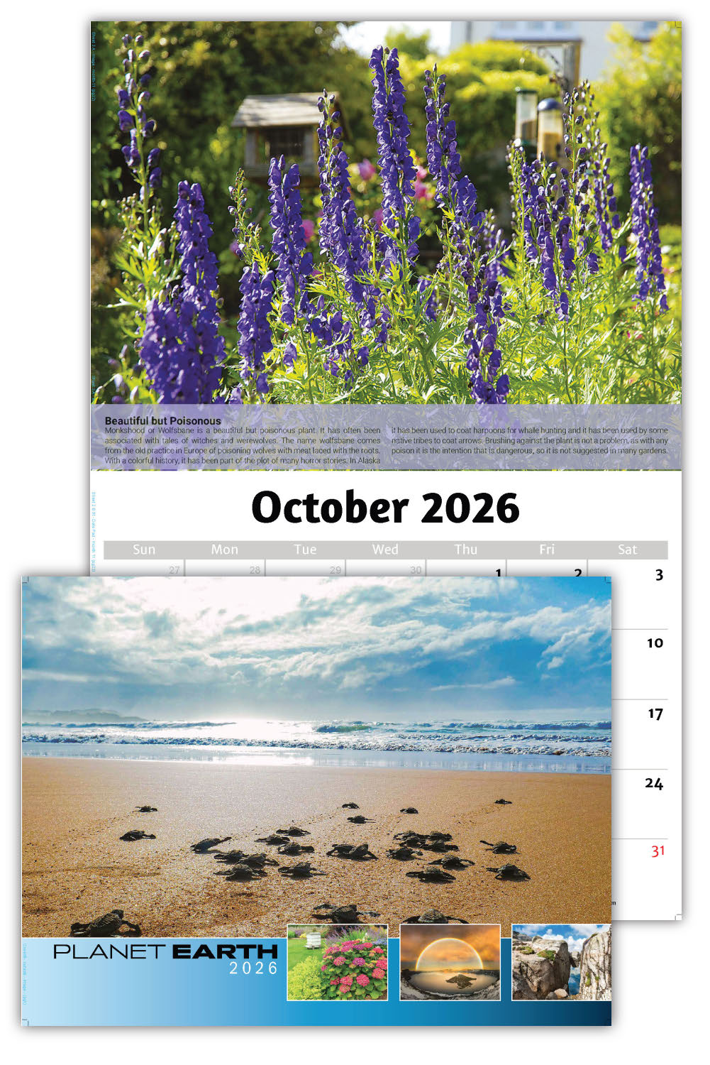 2026 Planet Earth Wall Calendar