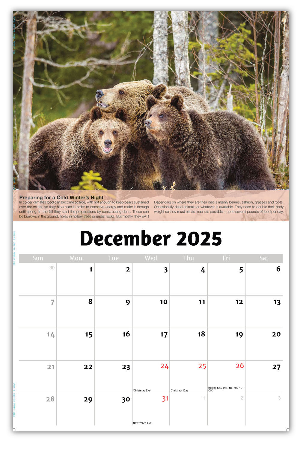 2026 Planet Earth Wall Calendar