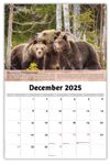 2026 Planet Earth Wall Calendar