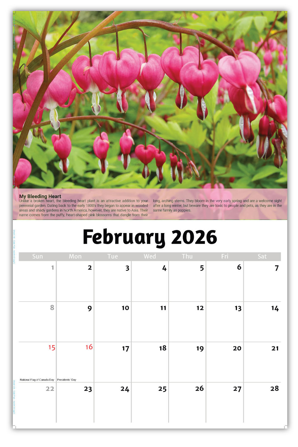 2026 Planet Earth Wall Calendar