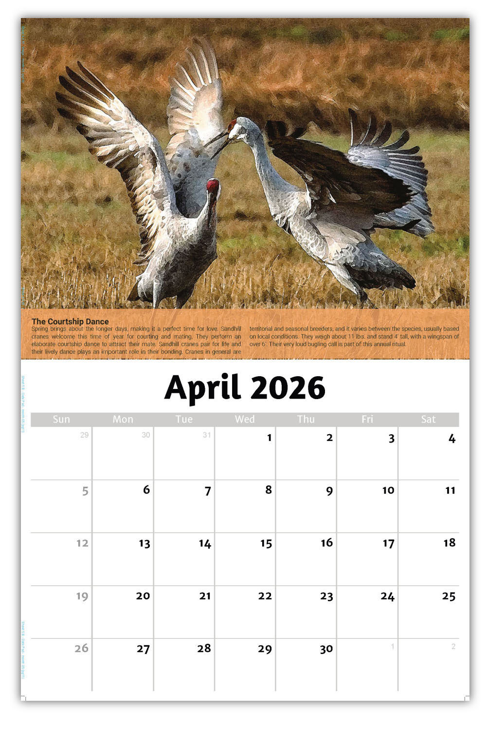 2026 Planet Earth Wall Calendar