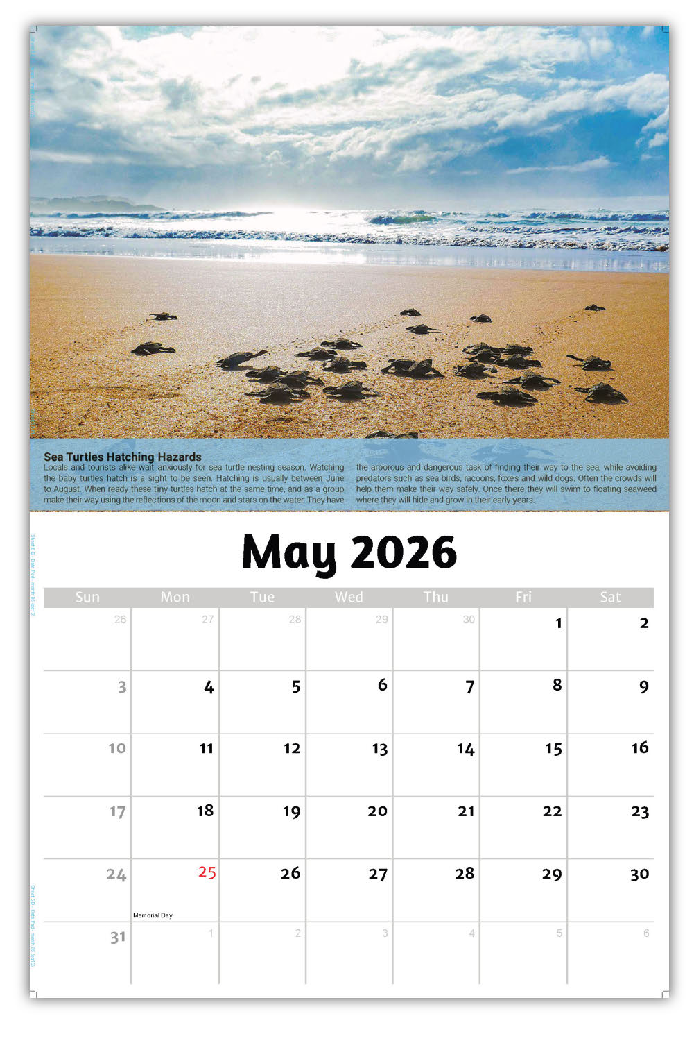 2026 Planet Earth Wall Calendar