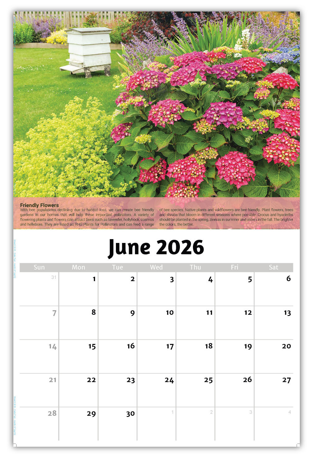 2026 Planet Earth Wall Calendar