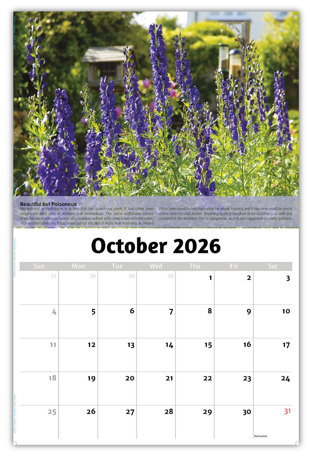 2026 Planet Earth Wall Calendar