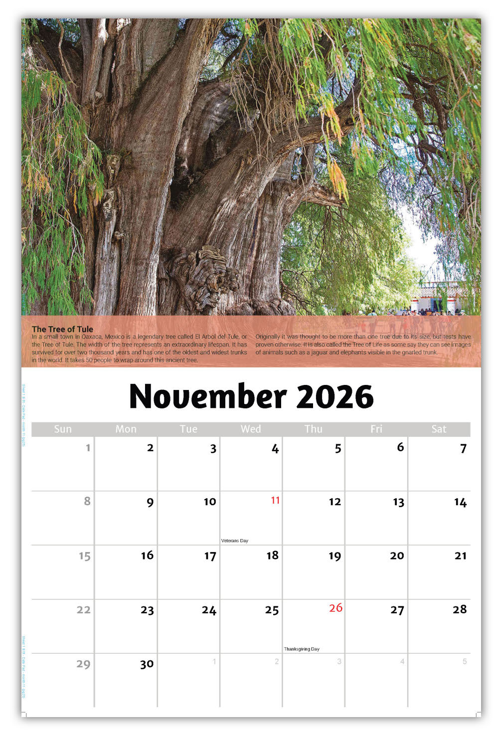 2026 Planet Earth Wall Calendar