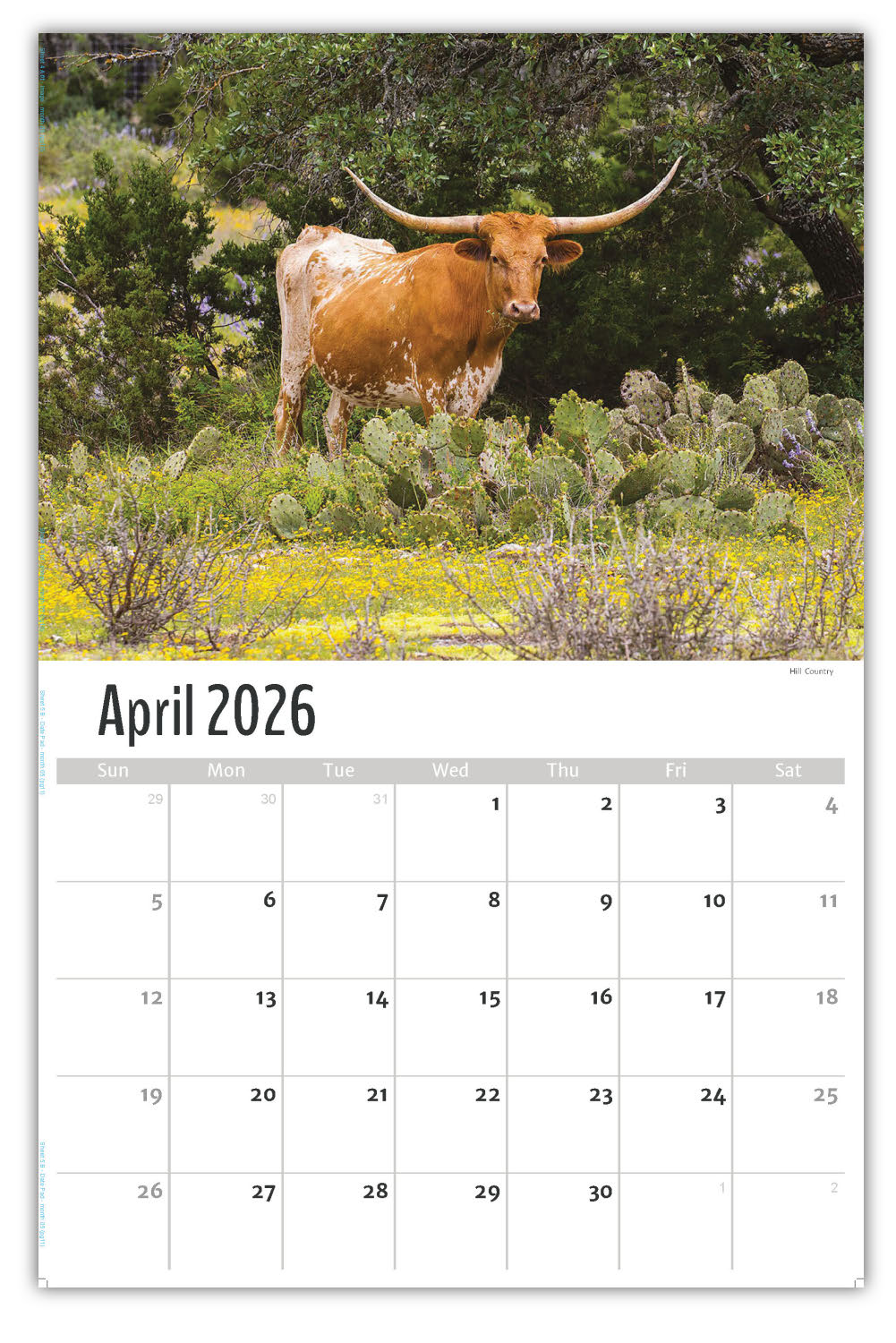 2026 Wall Calendar - Scenes of Texas
