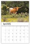 2026 Wall Calendar - Scenes of Texas