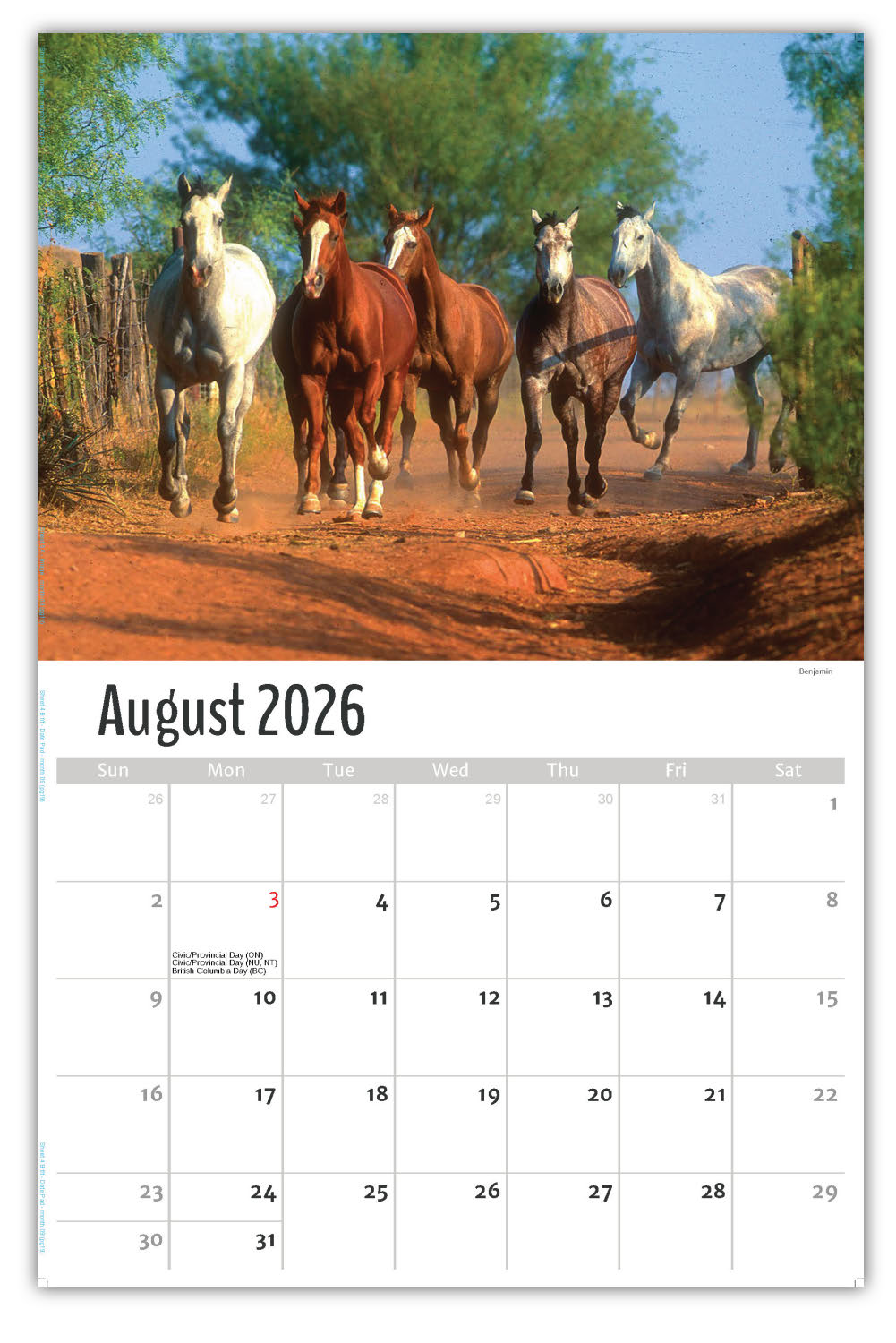 2026 Wall Calendar - Scenes of Texas