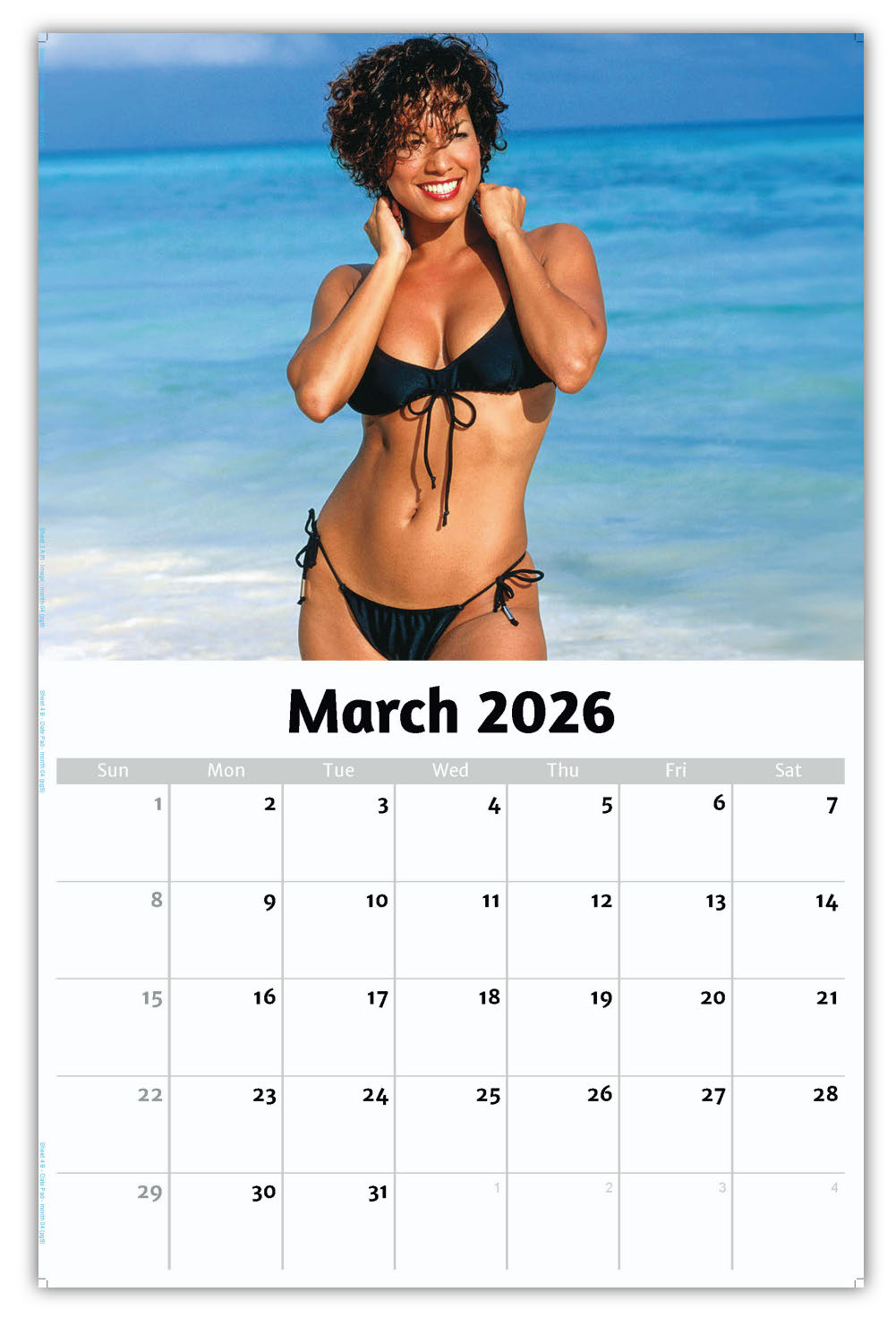 2026 Wall Calendar - Swimsuit Models