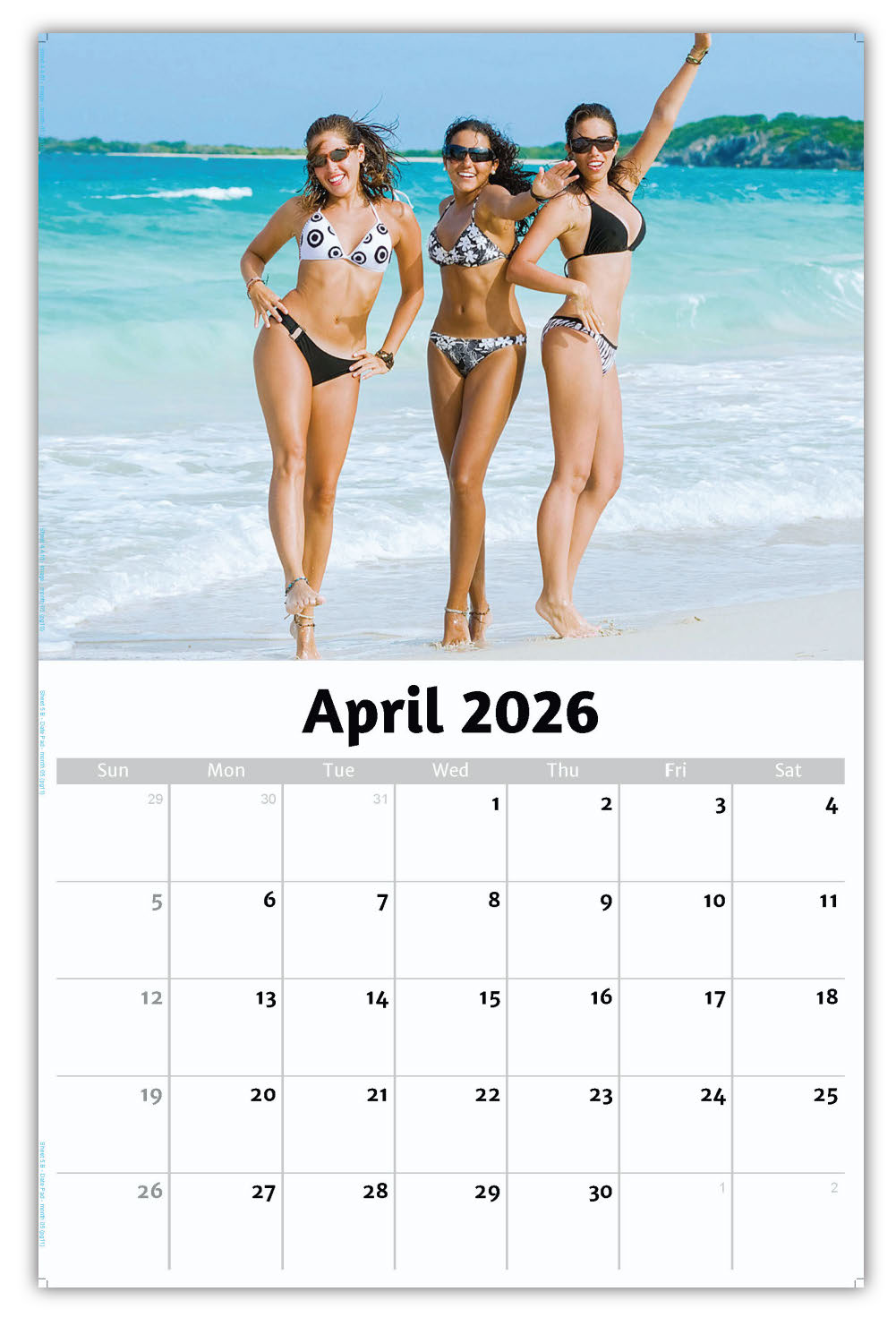 2026 Wall Calendar - Swimsuit Models