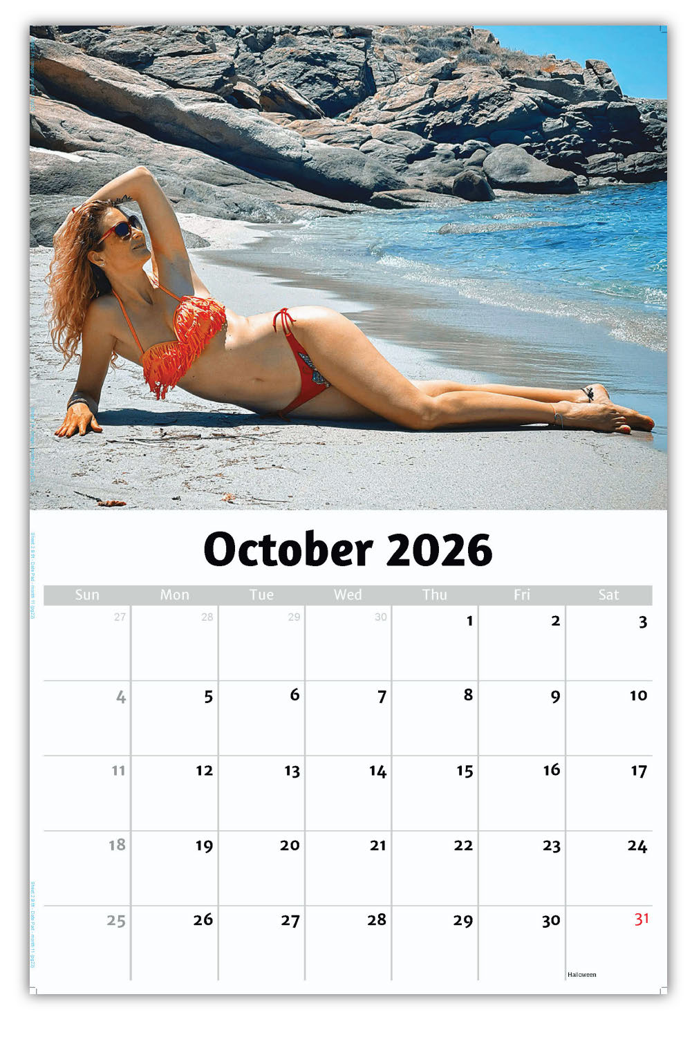 2026 Wall Calendar - Swimsuit Models