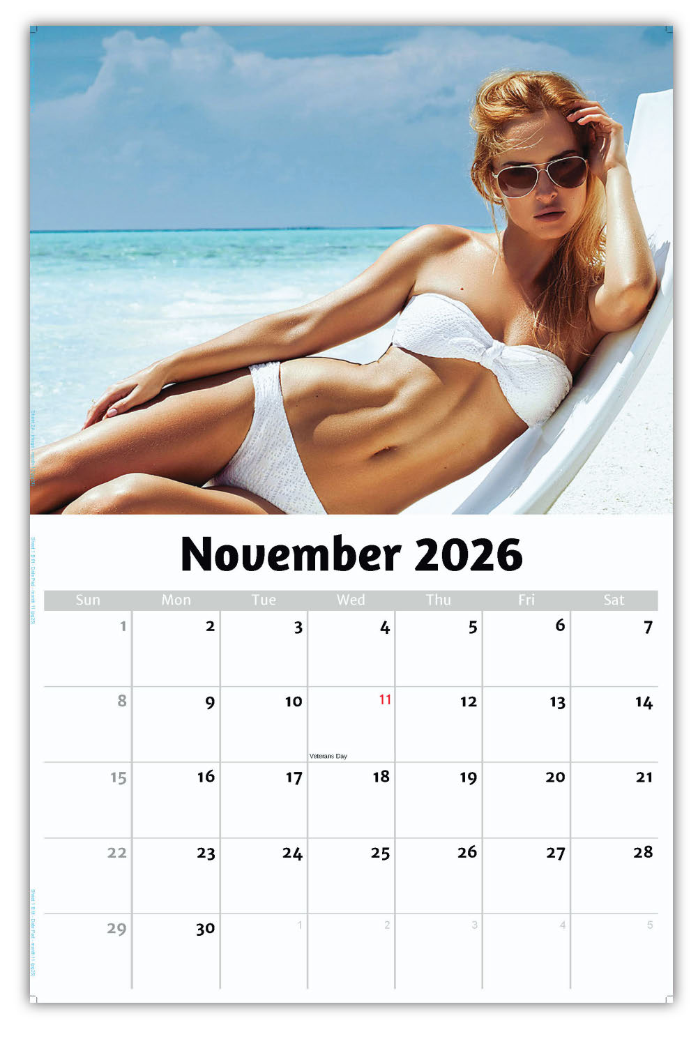 2026 Wall Calendar - Swimsuit Models