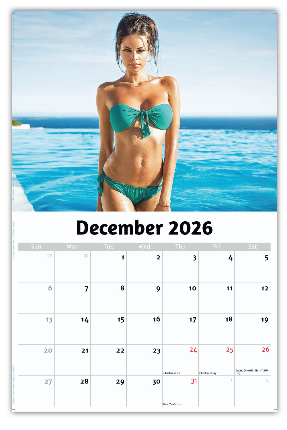 2026 Wall Calendar - Swimsuit Models