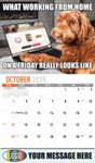 2026 The Memeing of Life Business Promotional Calendar