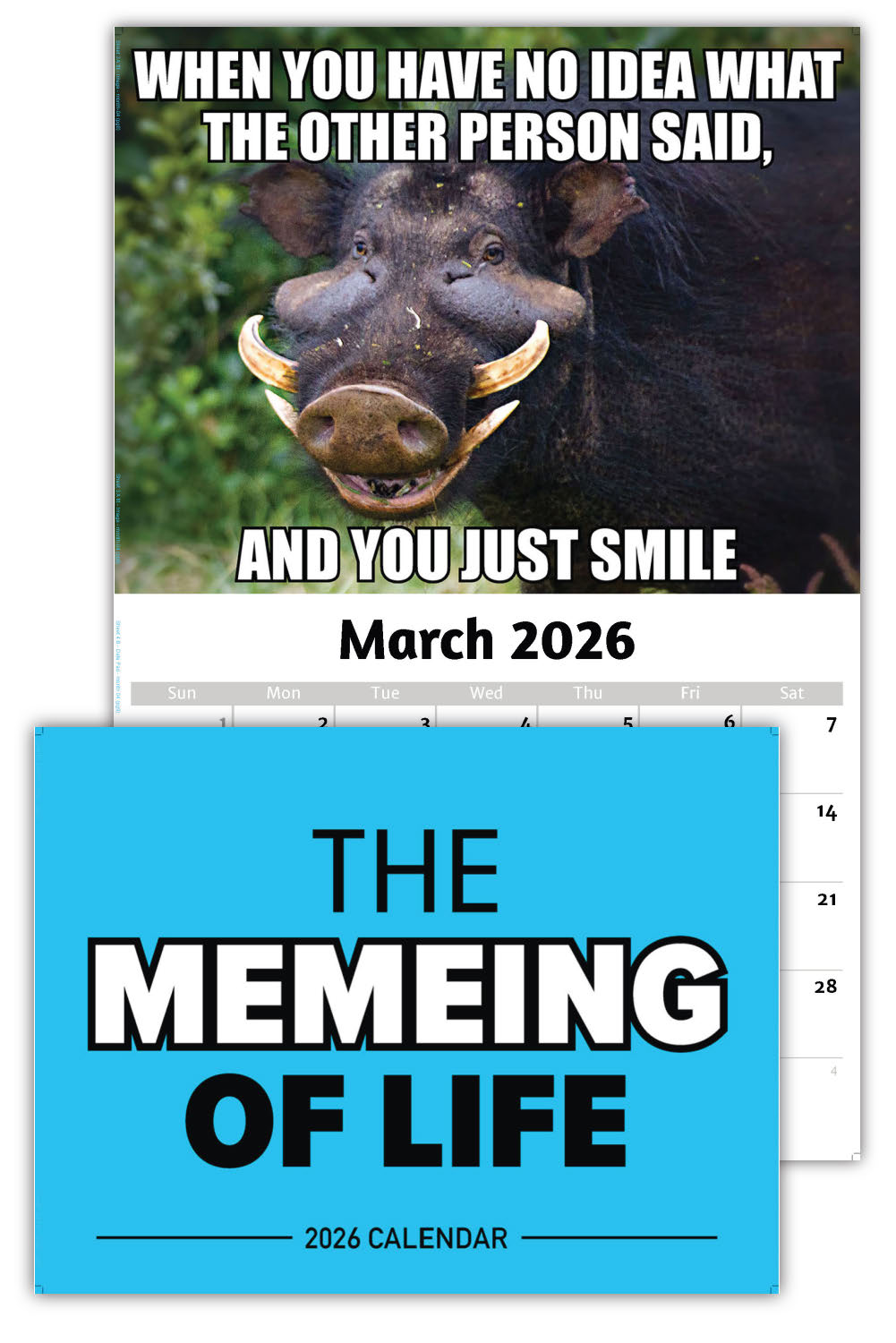 2026 Wall Calendar - the Memeing of Life