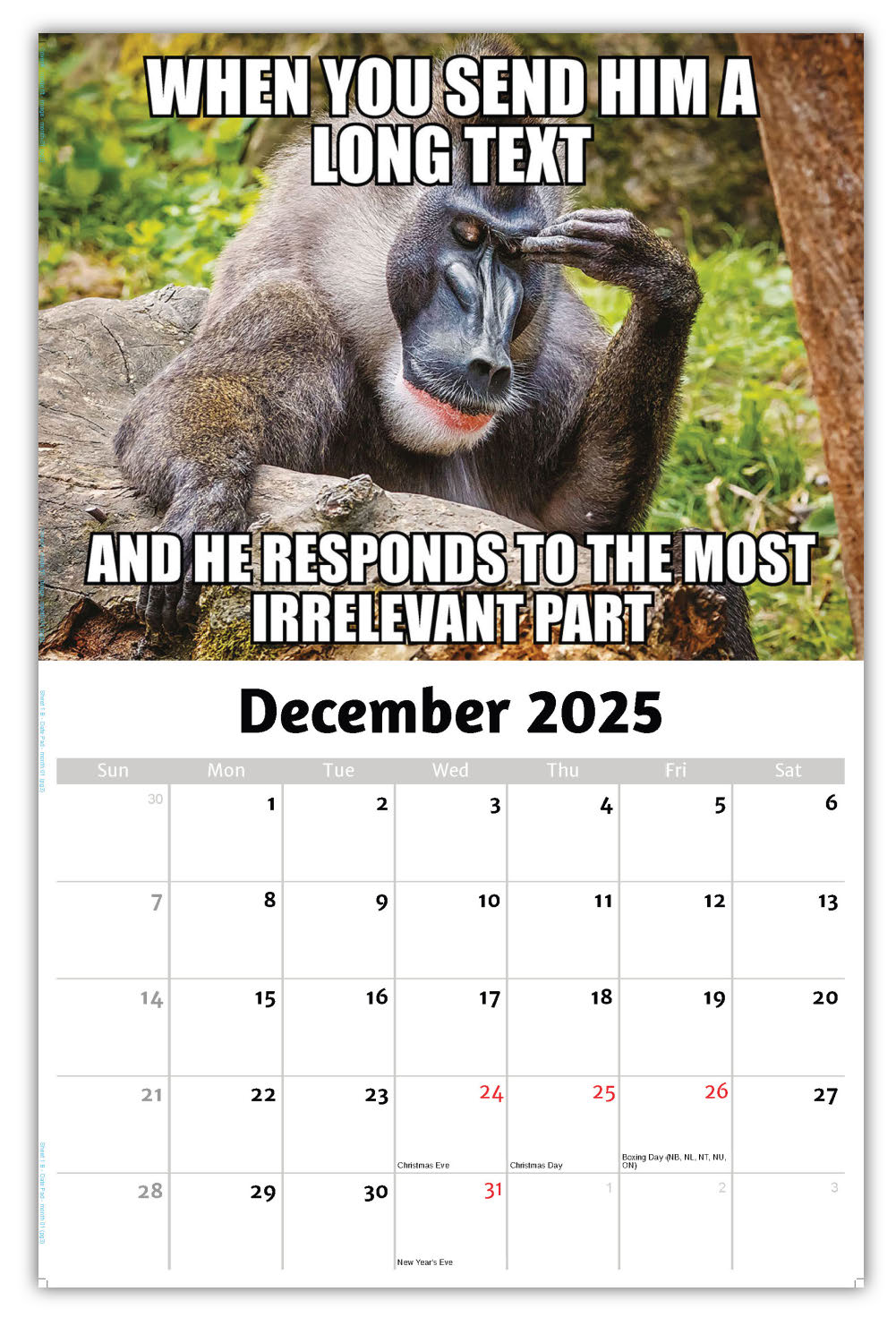 2026 Wall Calendar - the Memeing of Life