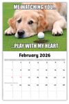 2026 Wall Calendar - the Memeing of Life