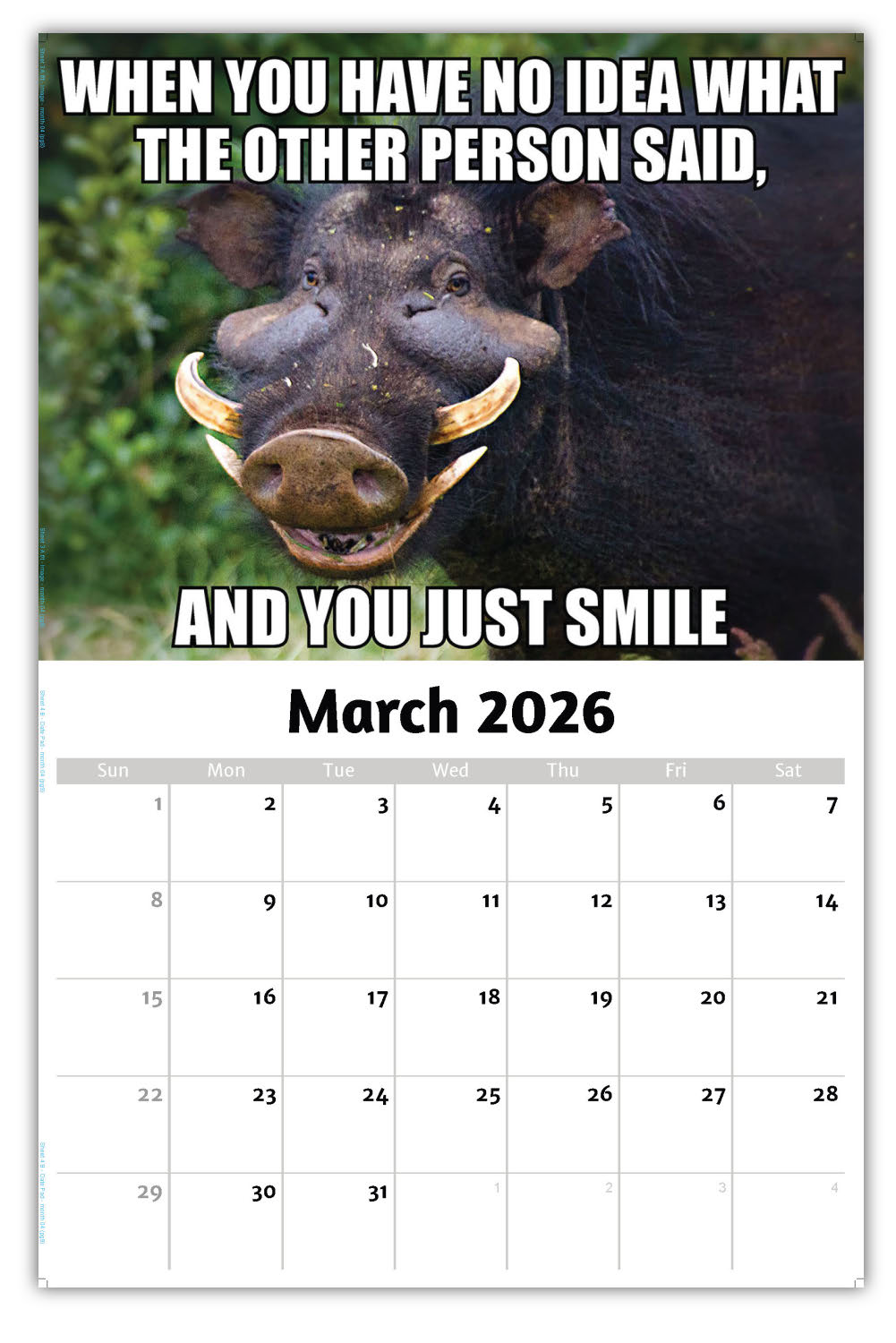 2026 Wall Calendar - the Memeing of Life