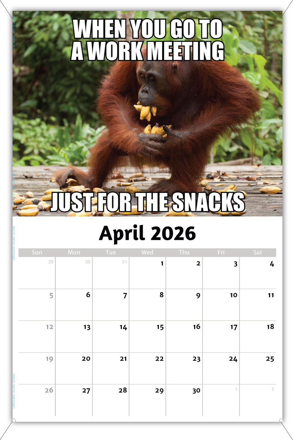 2026 Wall Calendar - the Memeing of Life