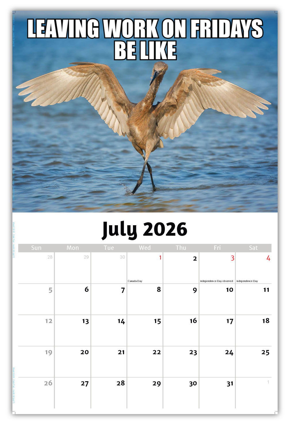 2026 Wall Calendar - the Memeing of Life