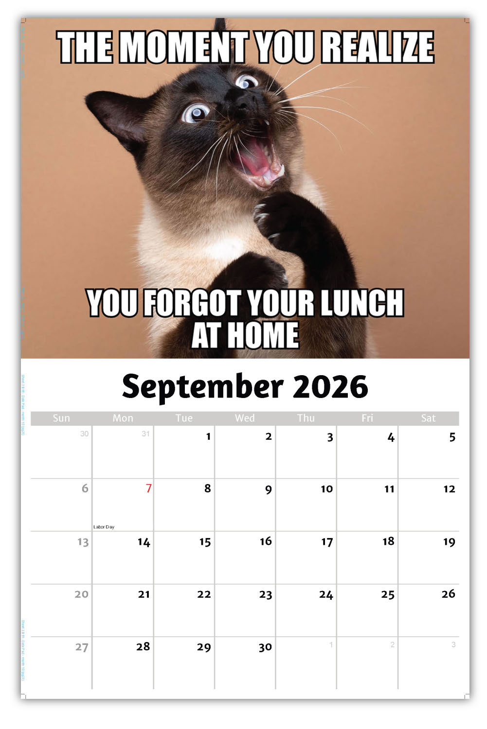 2026 Wall Calendar - the Memeing of Life
