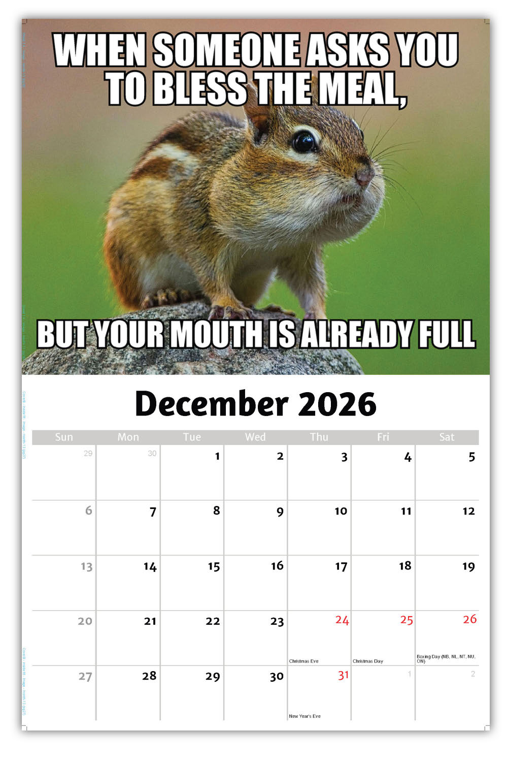 2026 Wall Calendar - the Memeing of Life