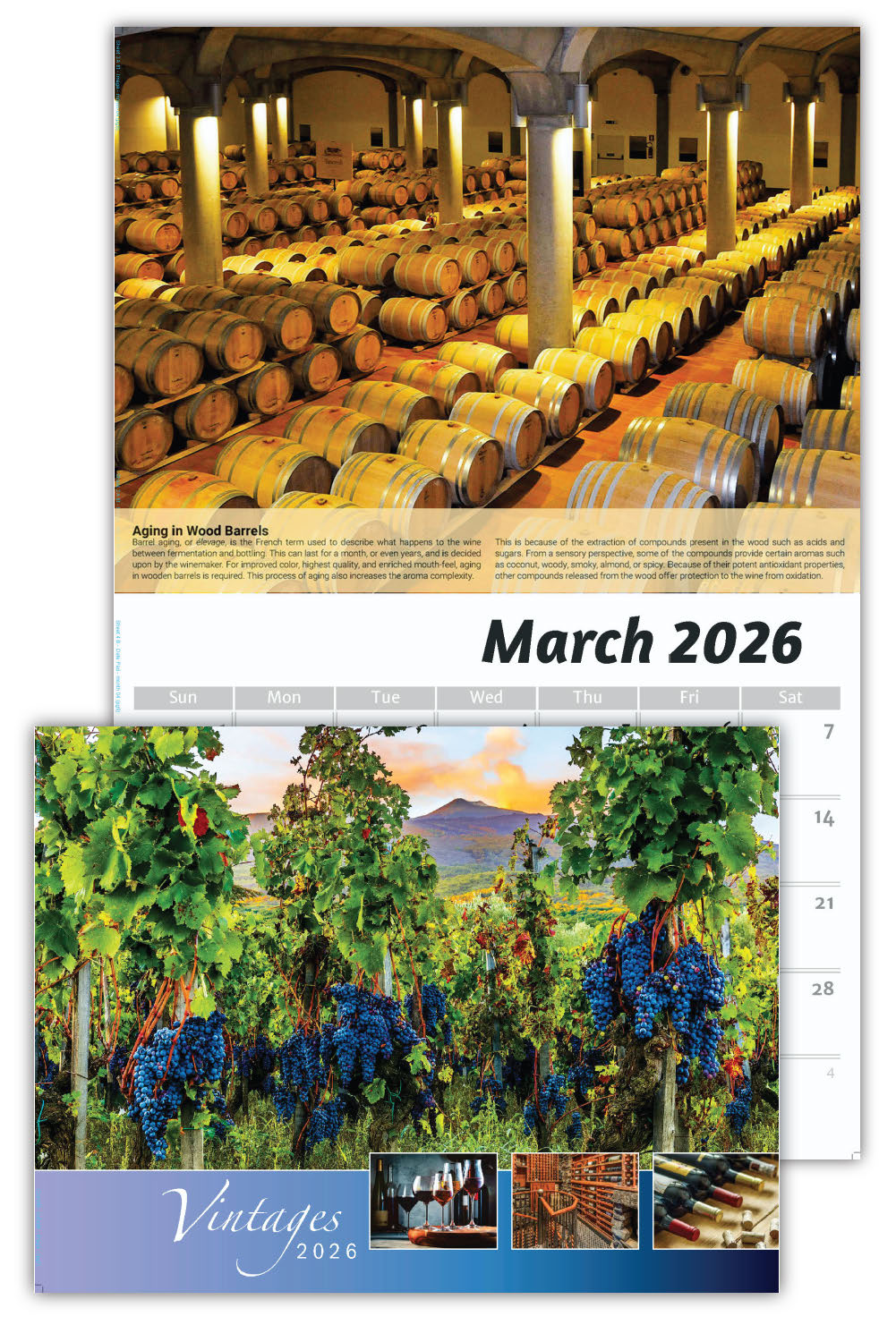 2026 Wall Calendar - Vintages: Wine Tips