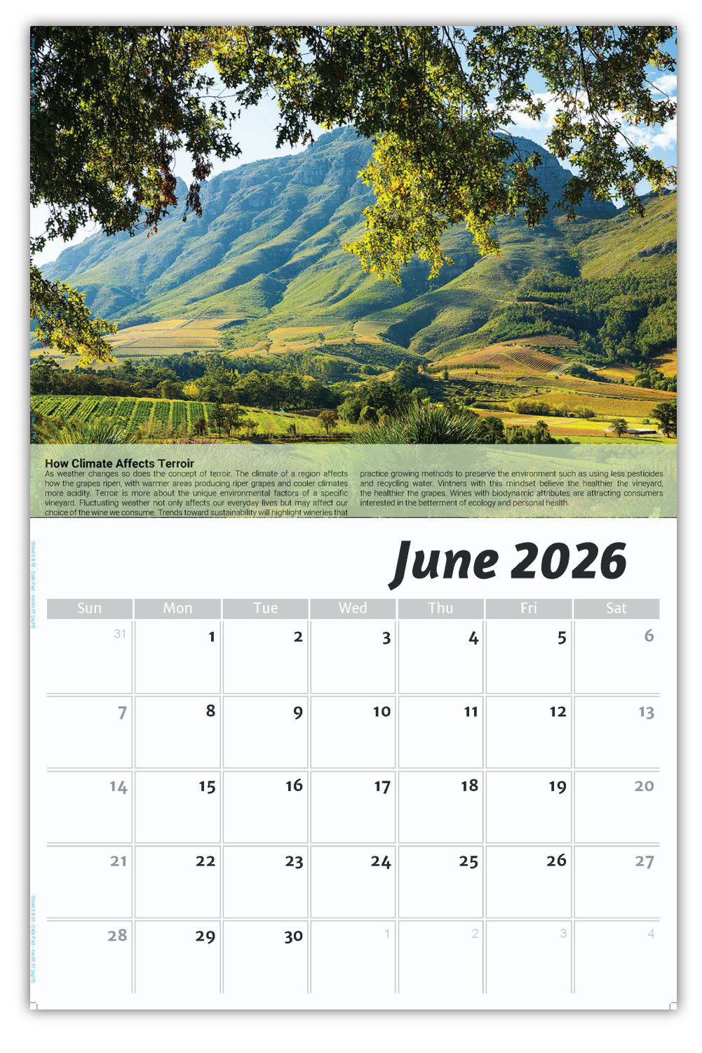 2026 Wall Calendar - Vintages: Wine Tips