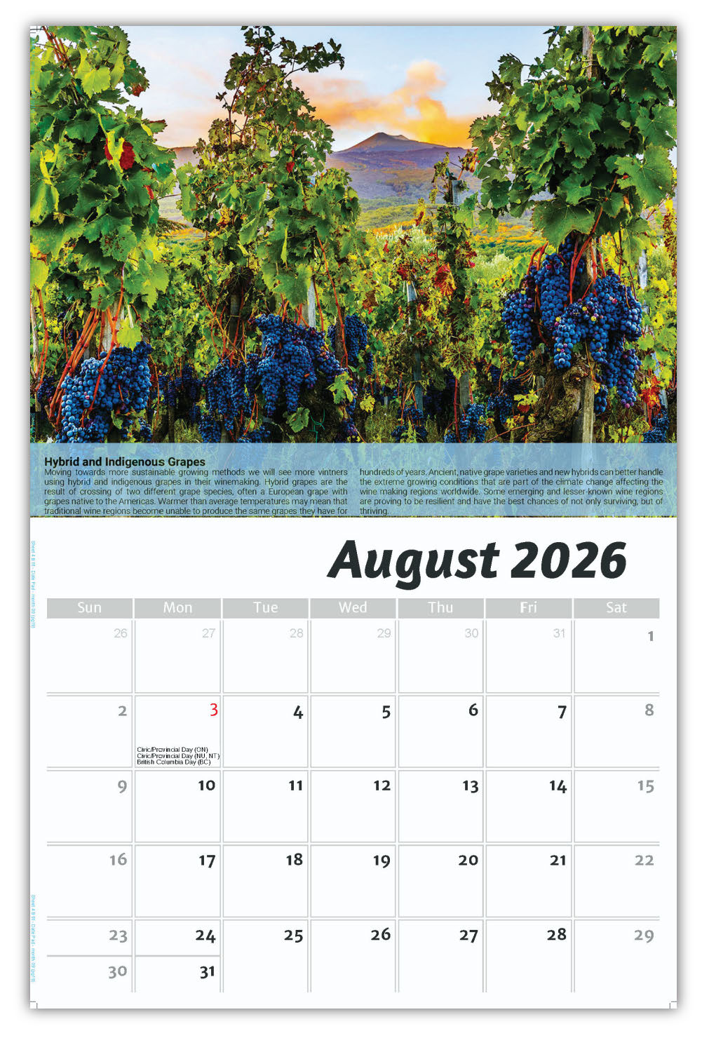 2026 Wall Calendar - Vintages: Wine Tips