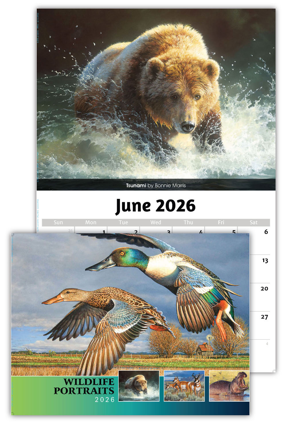 2026 Wall Calendar - Wildlife Portraits