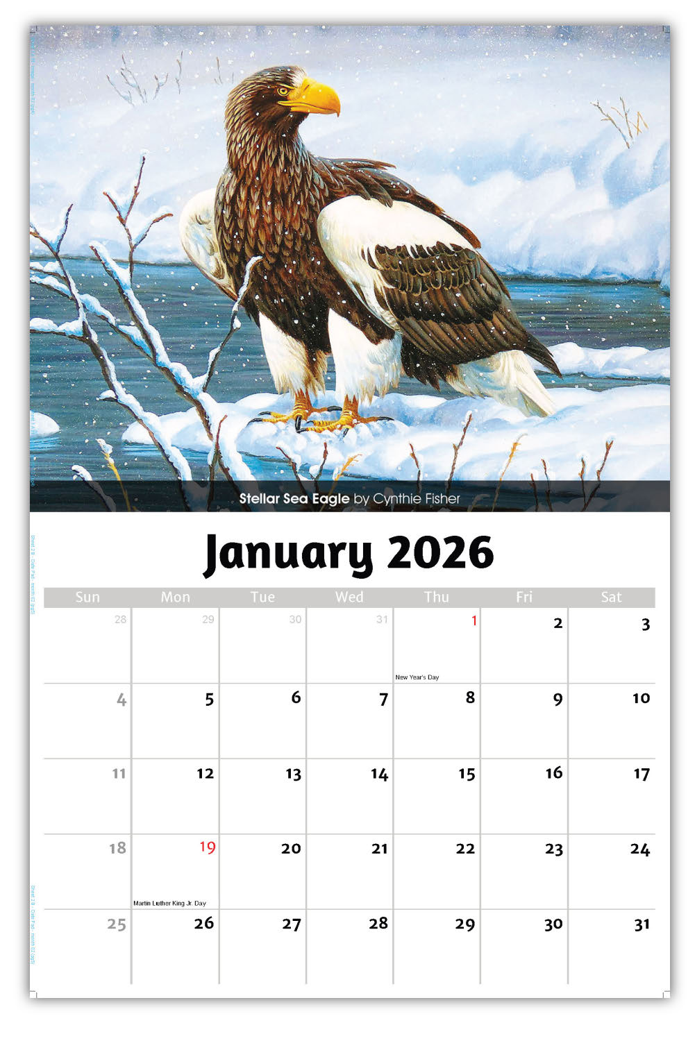 2026 Wall Calendar - Wildlife Portraits