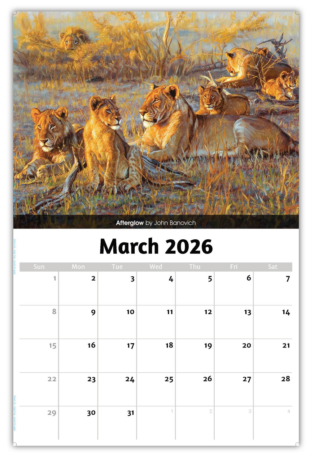 2026 Wall Calendar - Wildlife Portraits