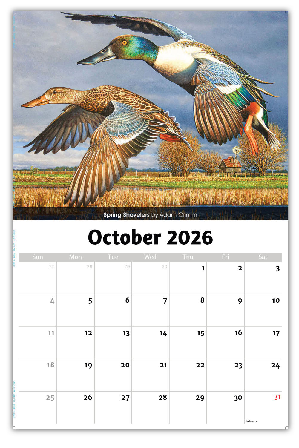 2026 Wall Calendar - Wildlife Portraits
