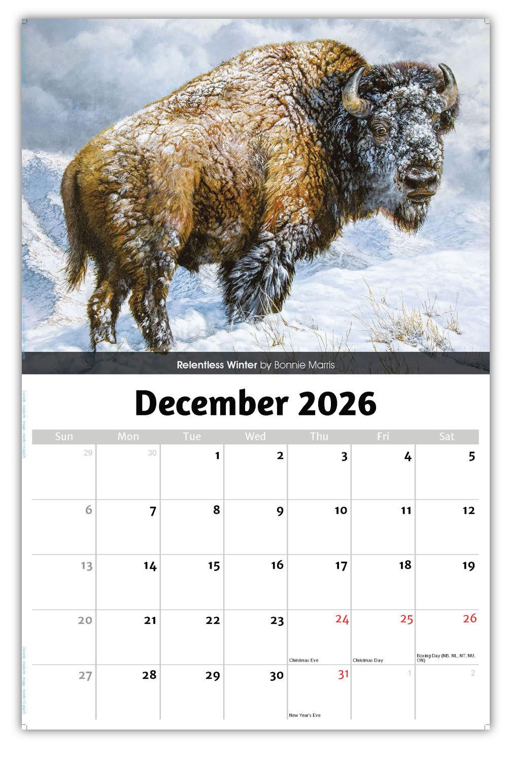 2026 Wall Calendar - Wildlife Portraits