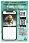 2026 Wall Calendar - Wildlife Portraits